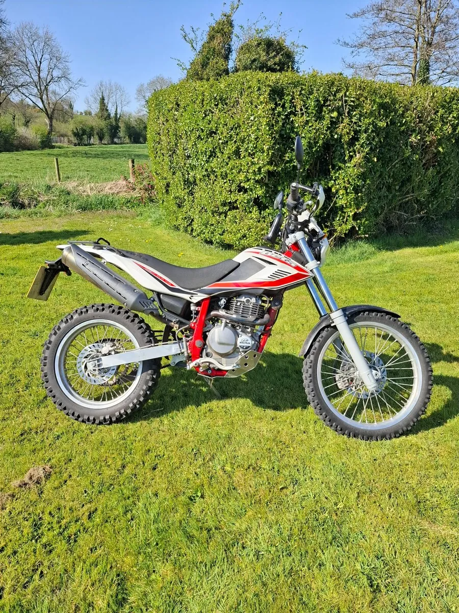 BETA Alp 2019 - Image 1