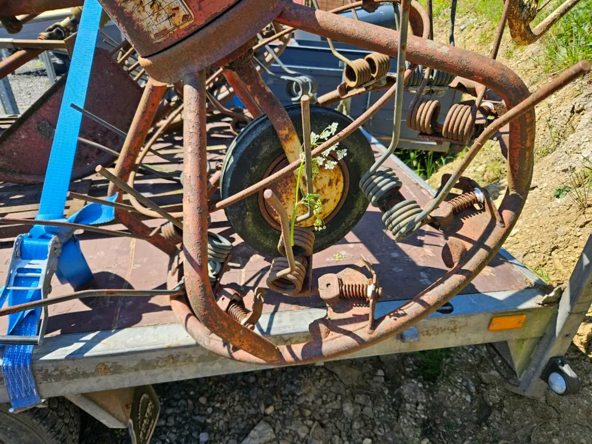 Hay bob - Image 3
