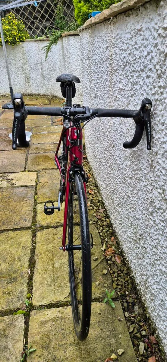 Trek Emonda SL6 2020 size M frame - Image 3