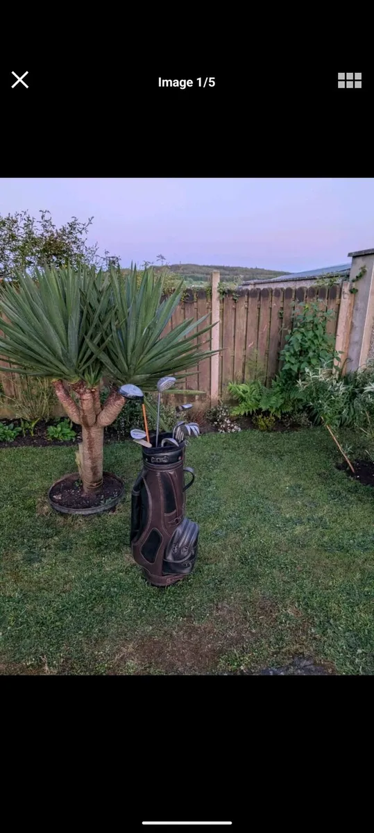 Golf clubs must go tonight first come - Image 1