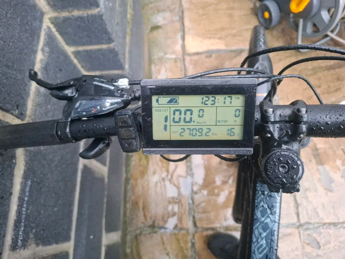 Carrera Electric Bike - Image 3
