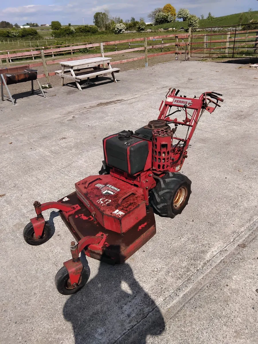 Ferris Walk Behind Petrol Mower - Image 1