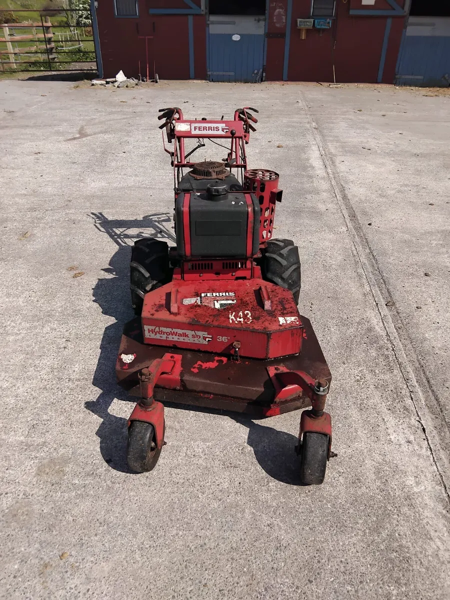 Ferris Walk Behind Petrol Mower - Image 4