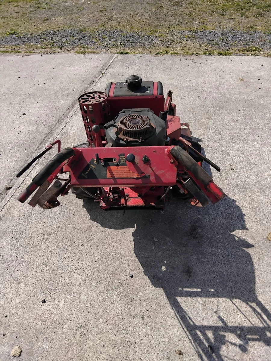 Ferris Walk Behind Petrol Mower - Image 2