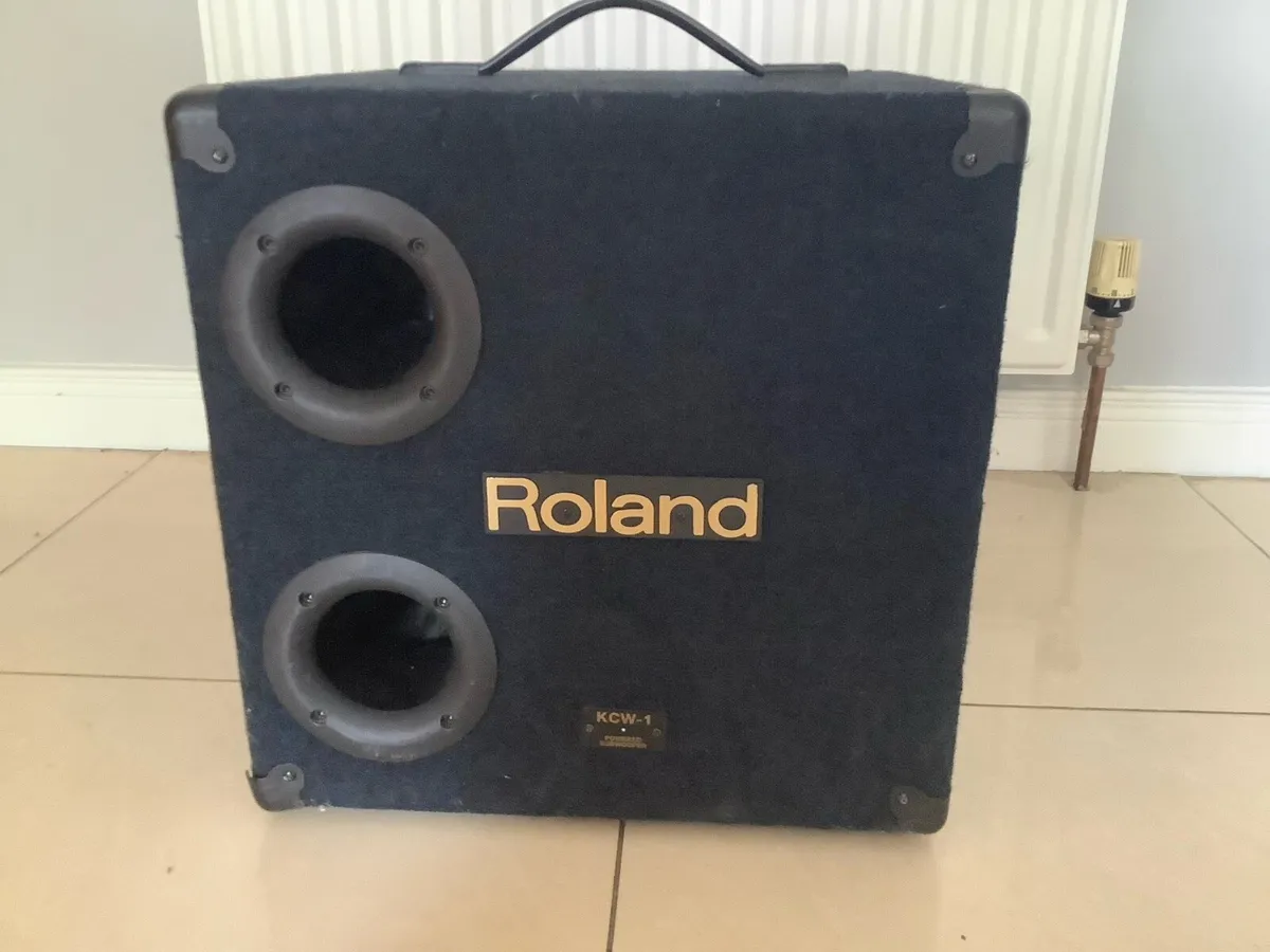 Microphone and Roland 135 watts Subwoofer - Image 2