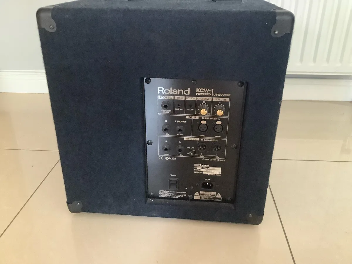 Microphone and Roland 135 watts Subwoofer - Image 3
