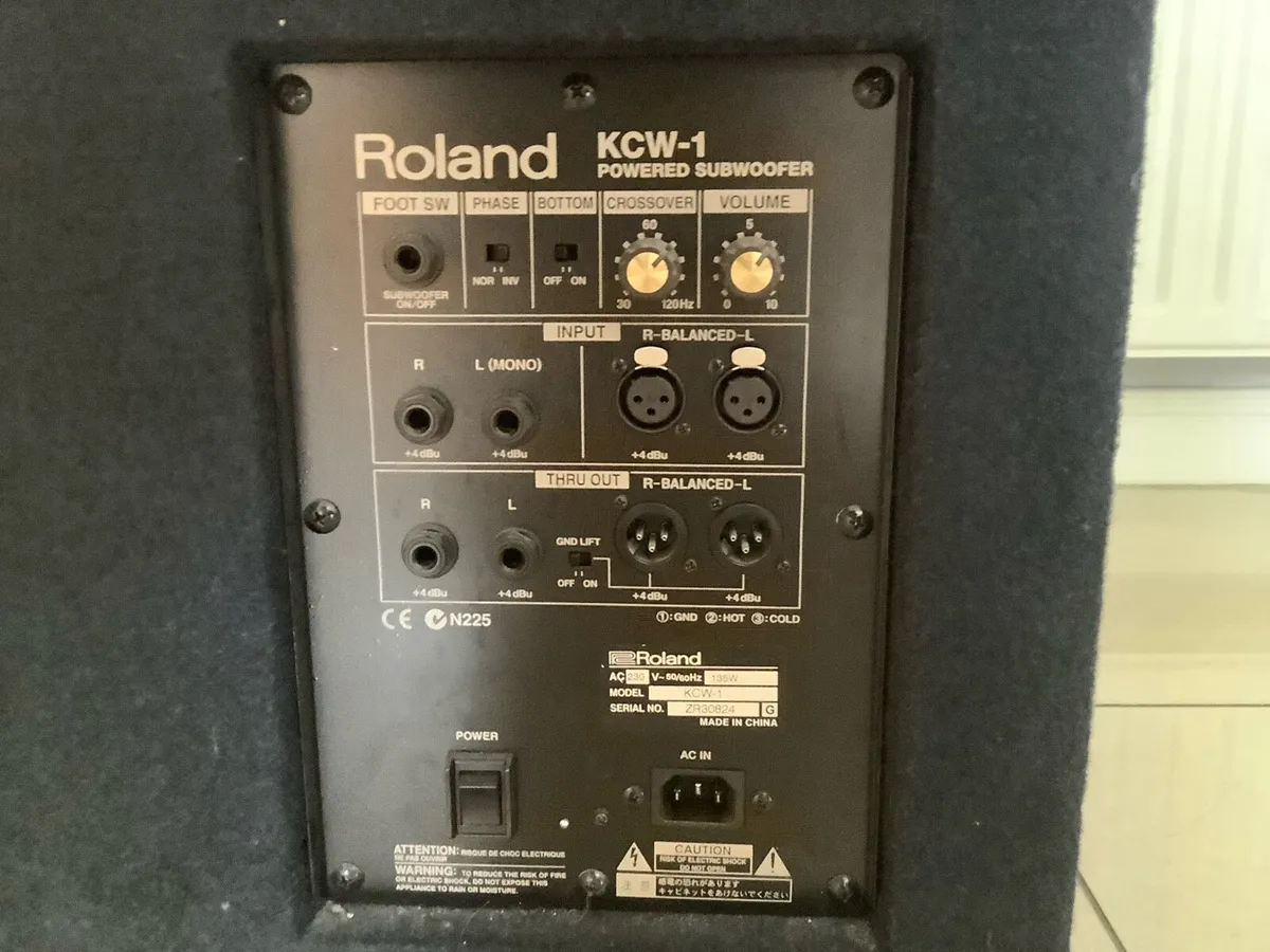 Microphone and Roland 135 watts Subwoofer - Image 4