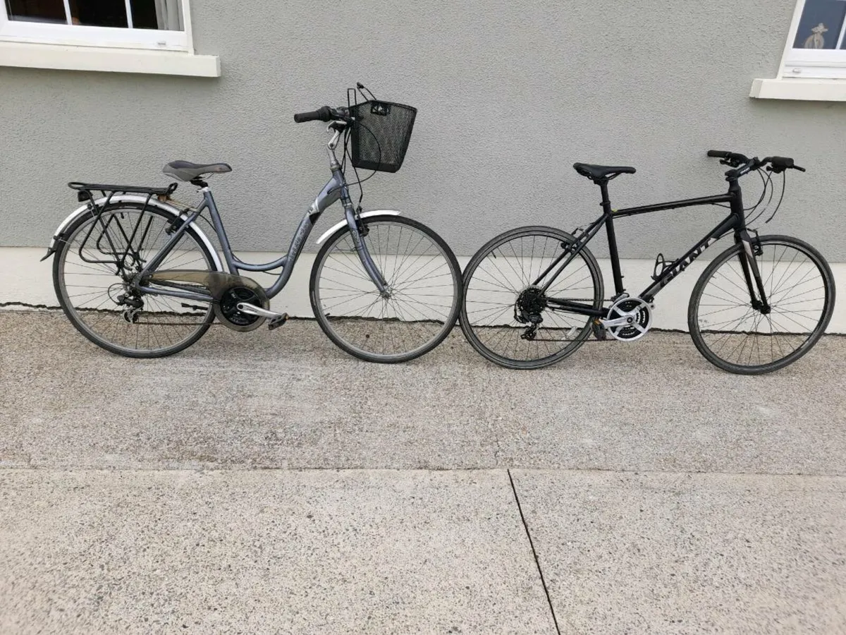 Ladies and Gents Bikes - Image 1
