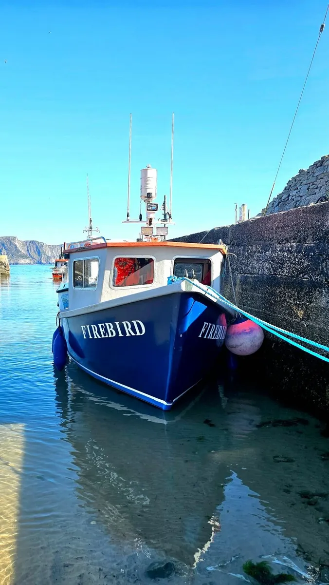Boat - Image 1