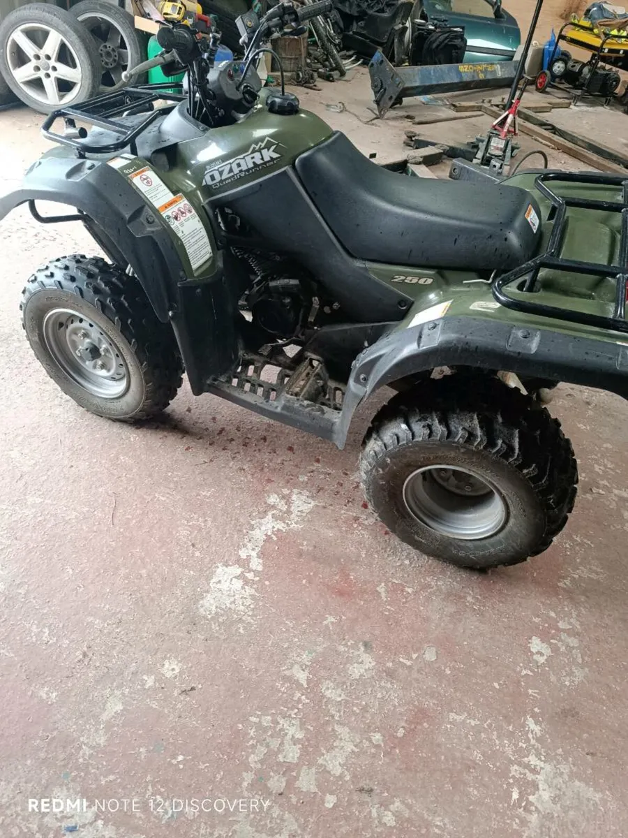 Suzuki Ozark 250cc - Image 3