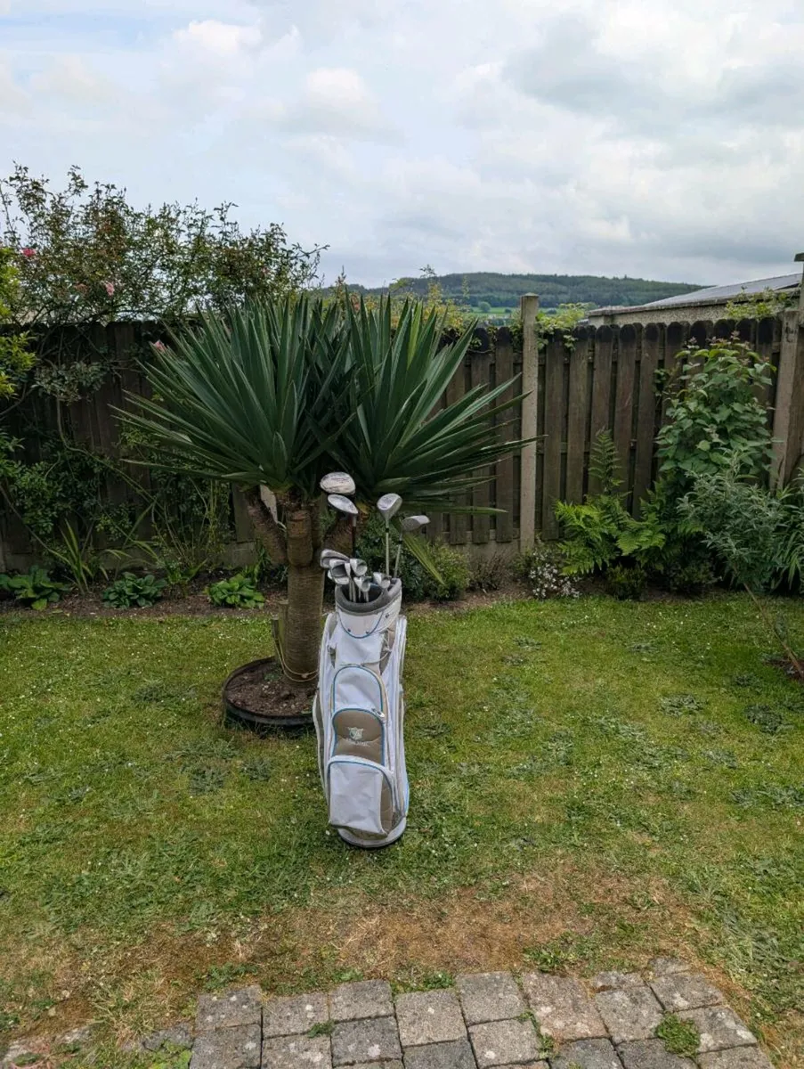 Wilson Golf clubs and bag - Image 1