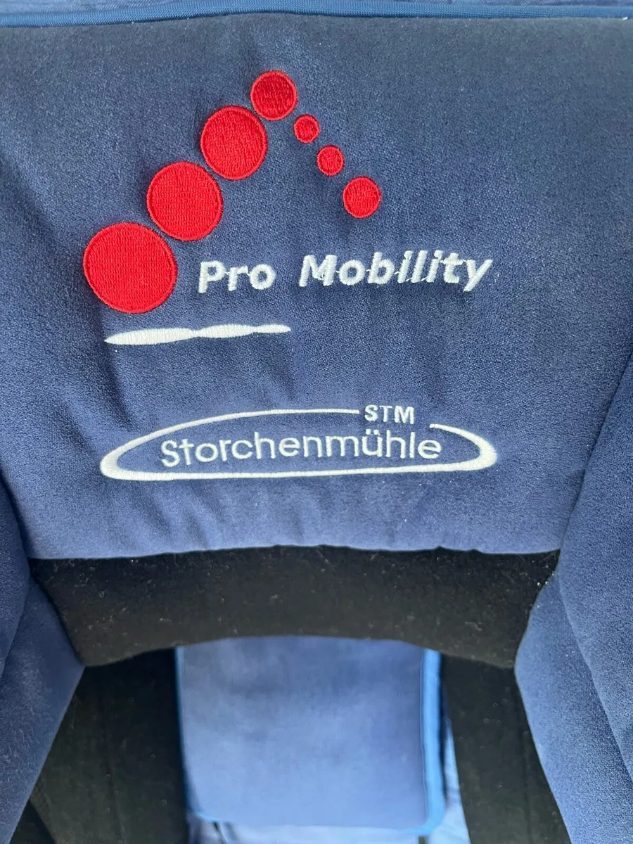 Special needs car seat - Image 1
