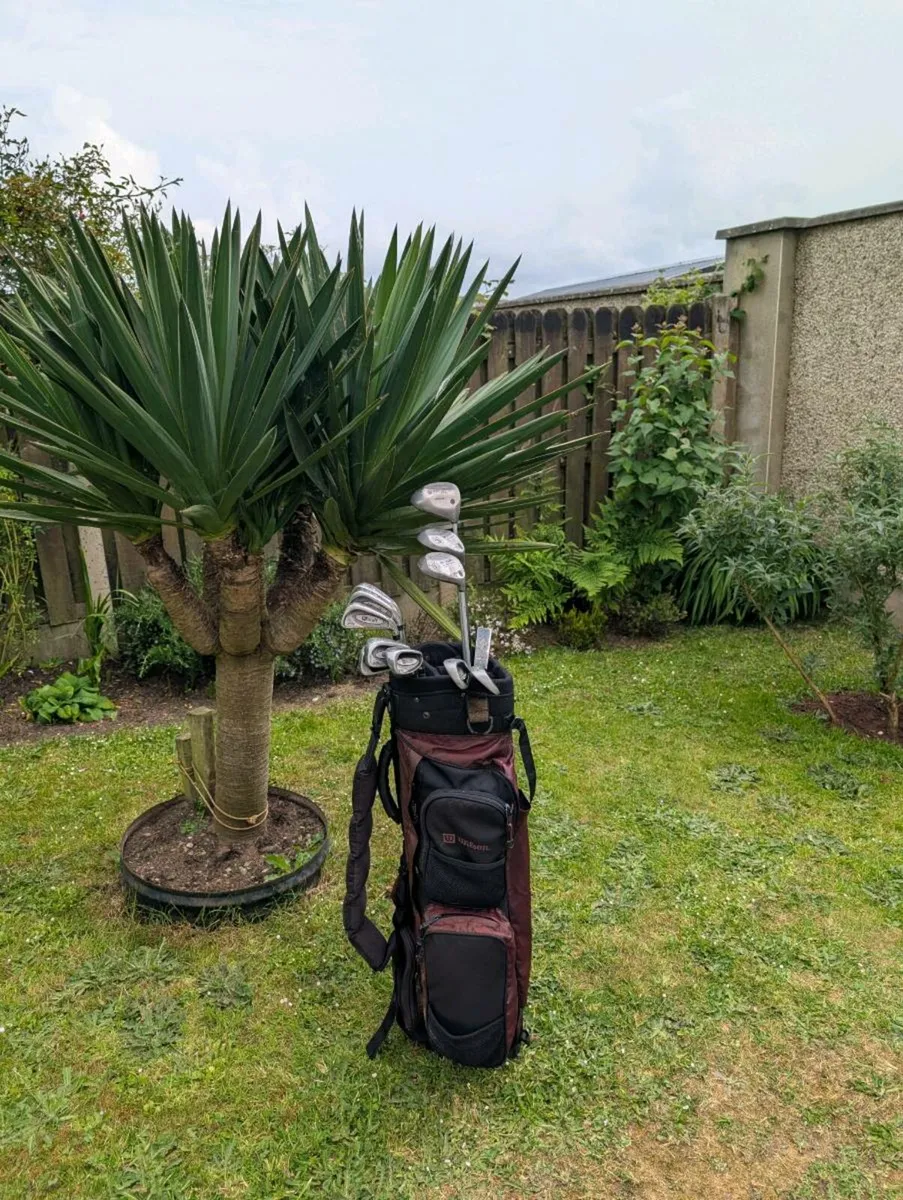 Wilson Golf clubs - Image 1