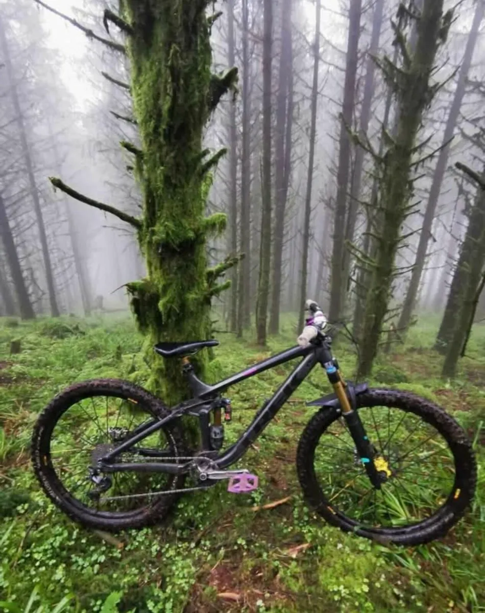 Trek remedy 7 - Image 1