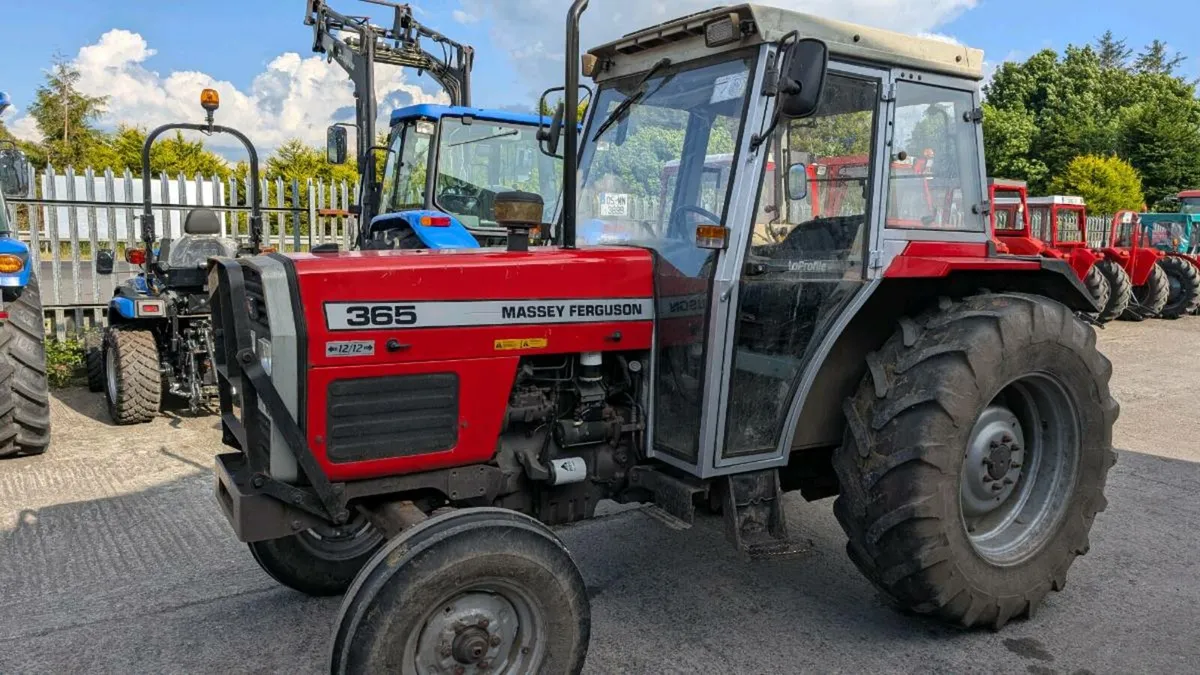Massey Ferguson 365 - Image 3
