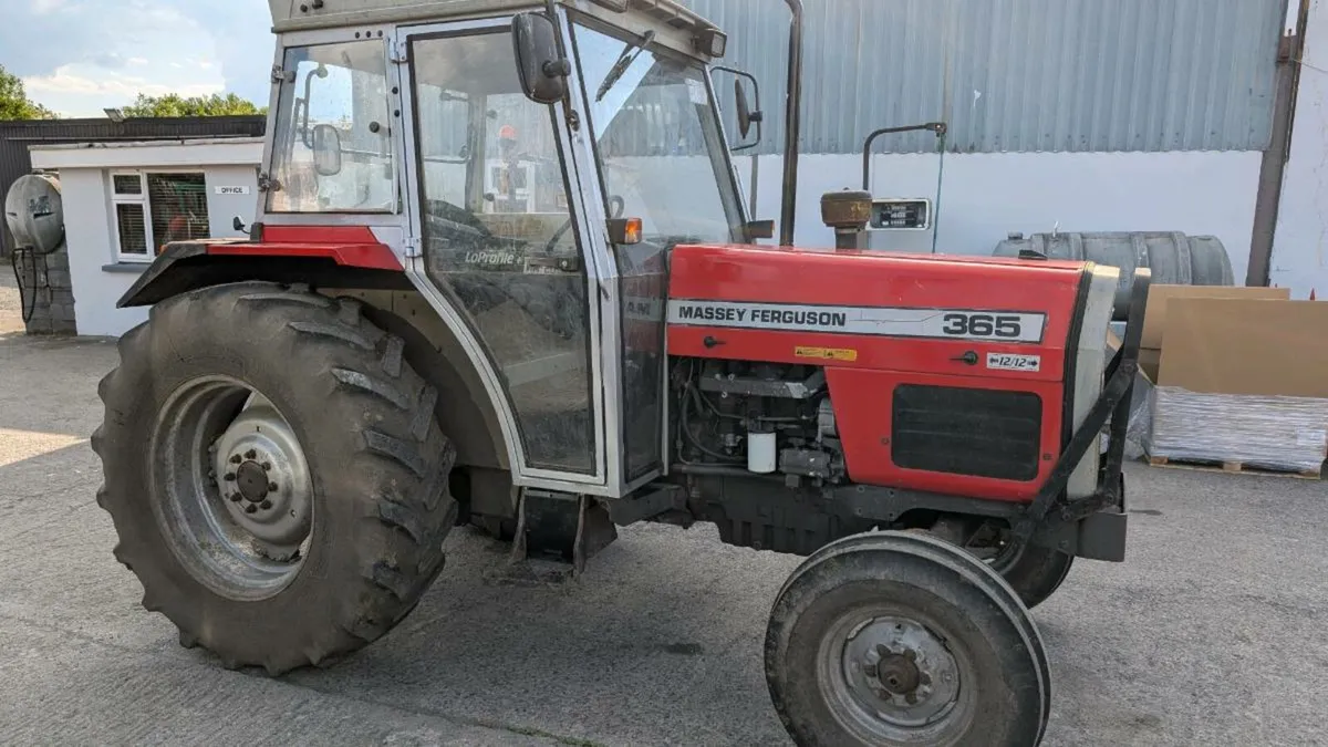 Massey Ferguson 365 - Image 1