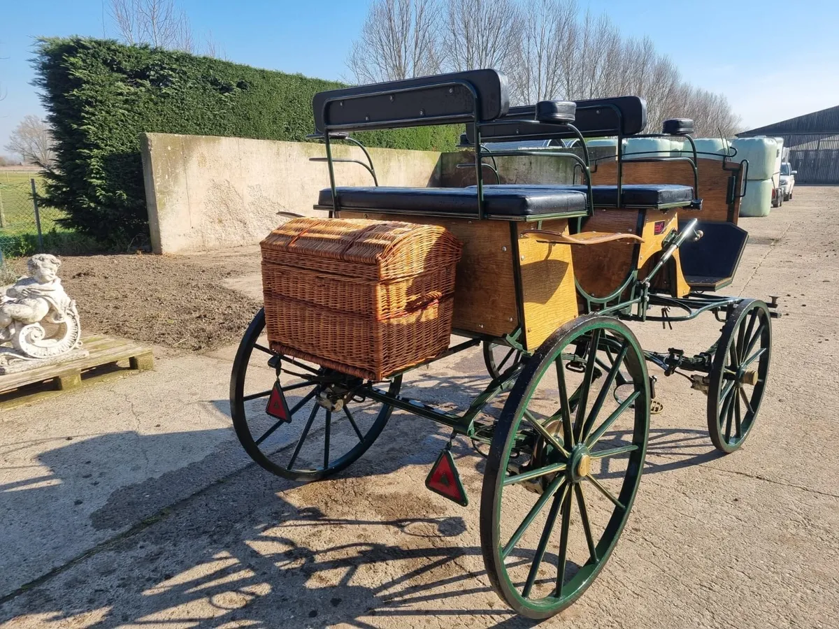 Wagonette - Image 3
