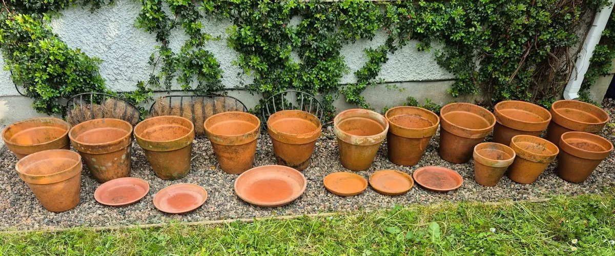Plant Pots - Image 1