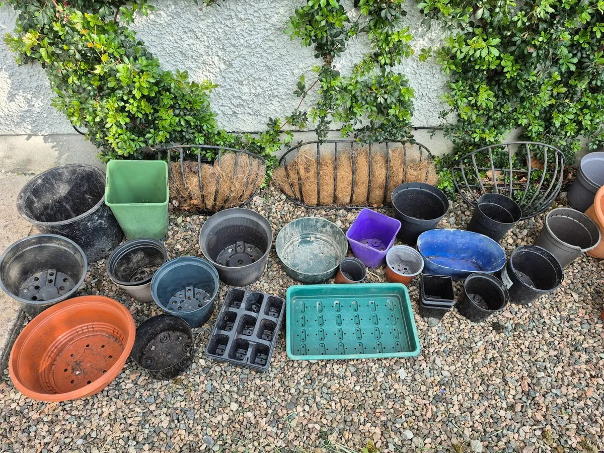 Plant Pots - Image 3