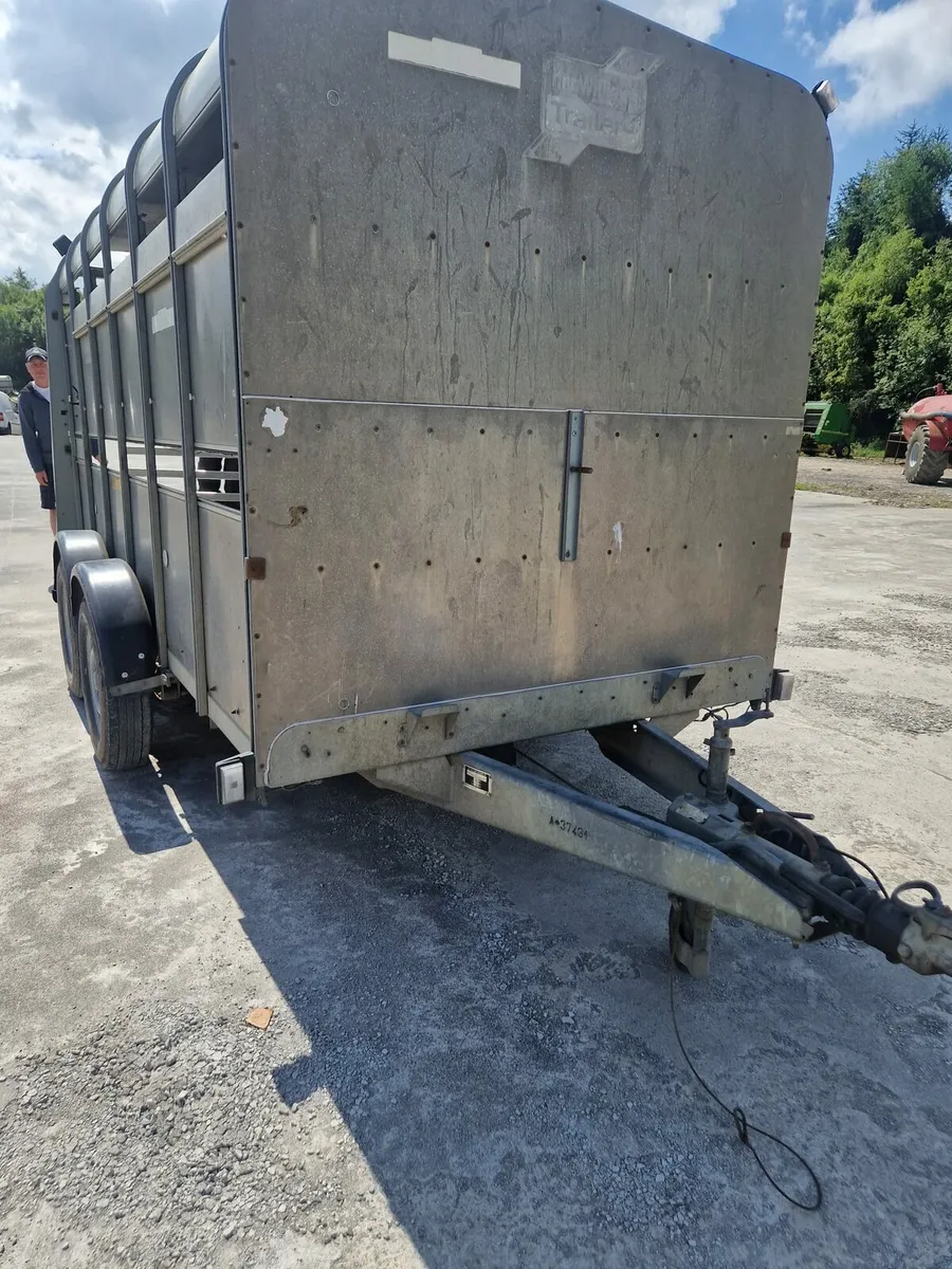 2010 12x6 Cattle trailer like new - Image 1
