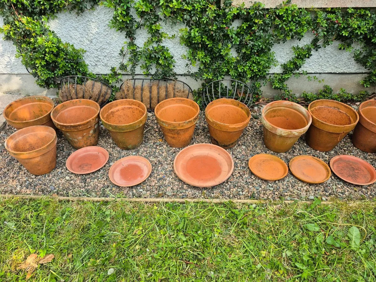 Plant Pots - Image 4