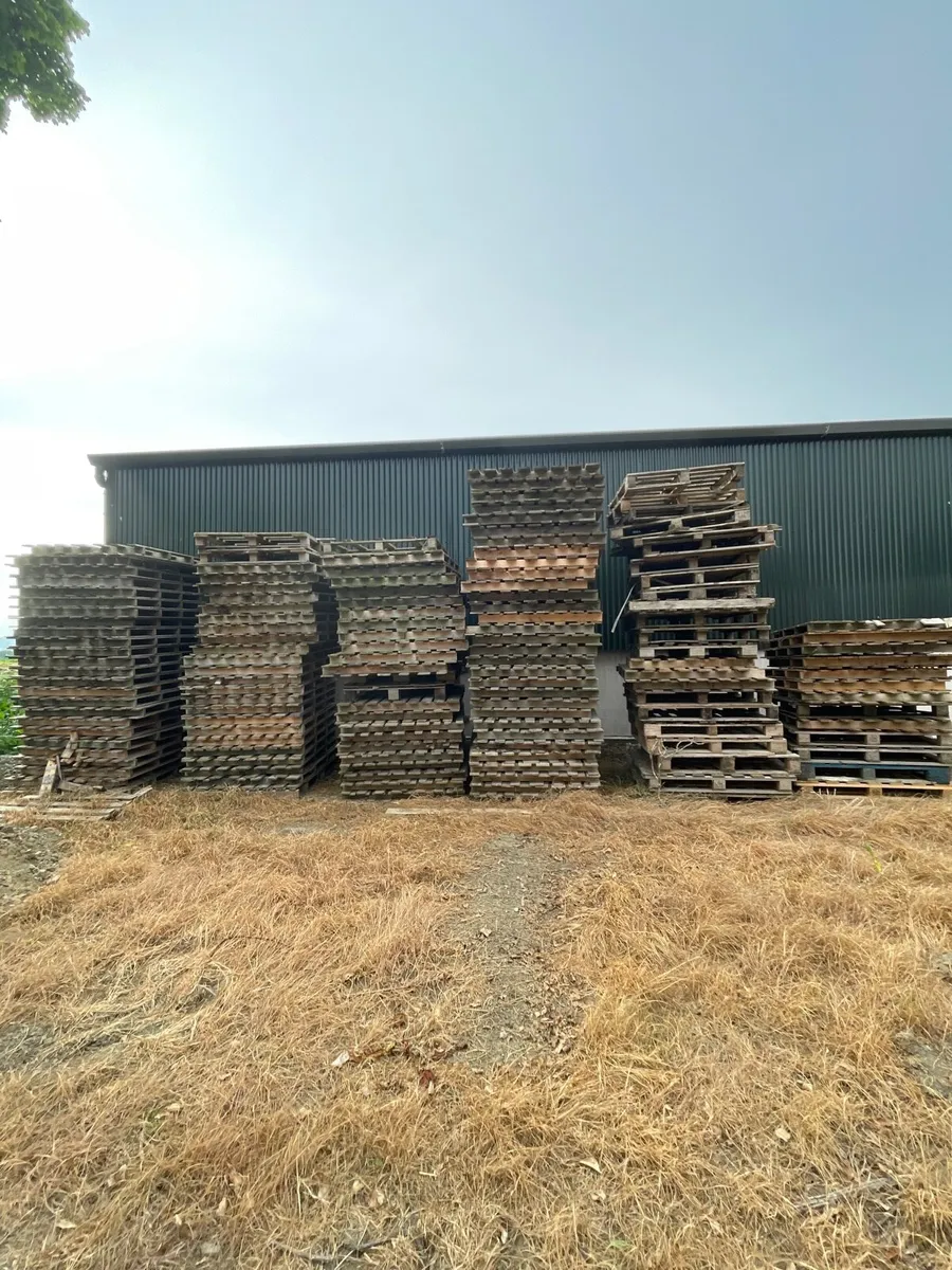 Pallets - Image 2