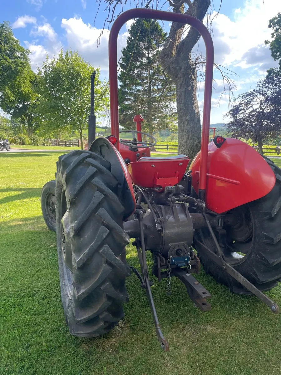 Massey Ferguson Other 1965 - Image 2