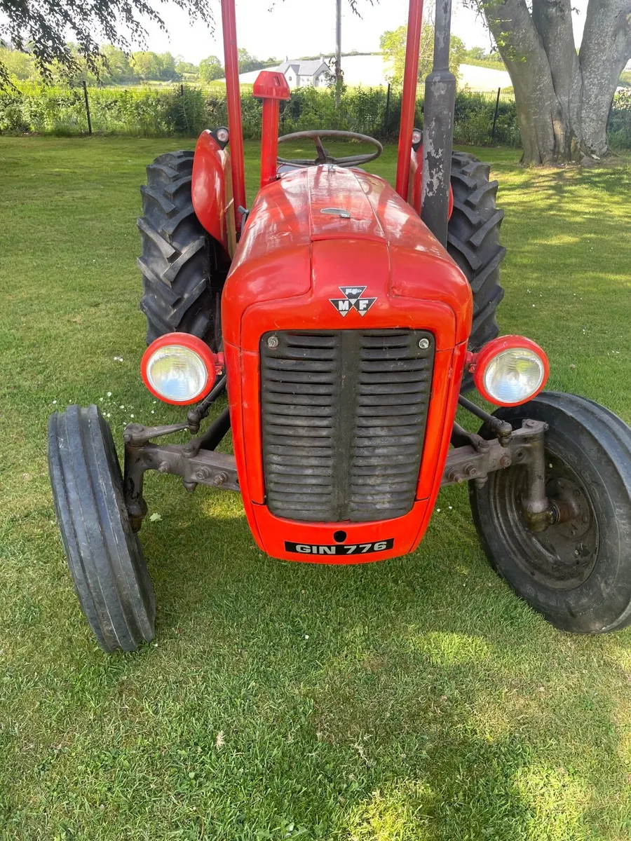 Massey Ferguson Other 1965 - Image 3