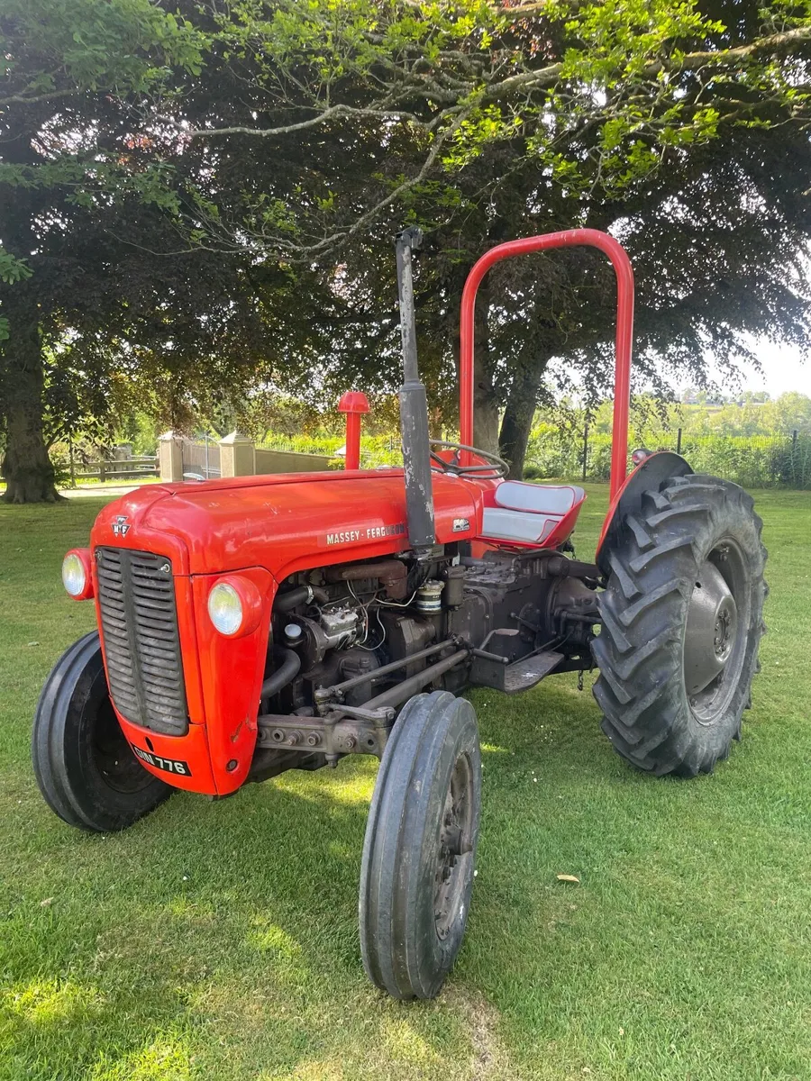 Massey Ferguson Other 1965 - Image 1