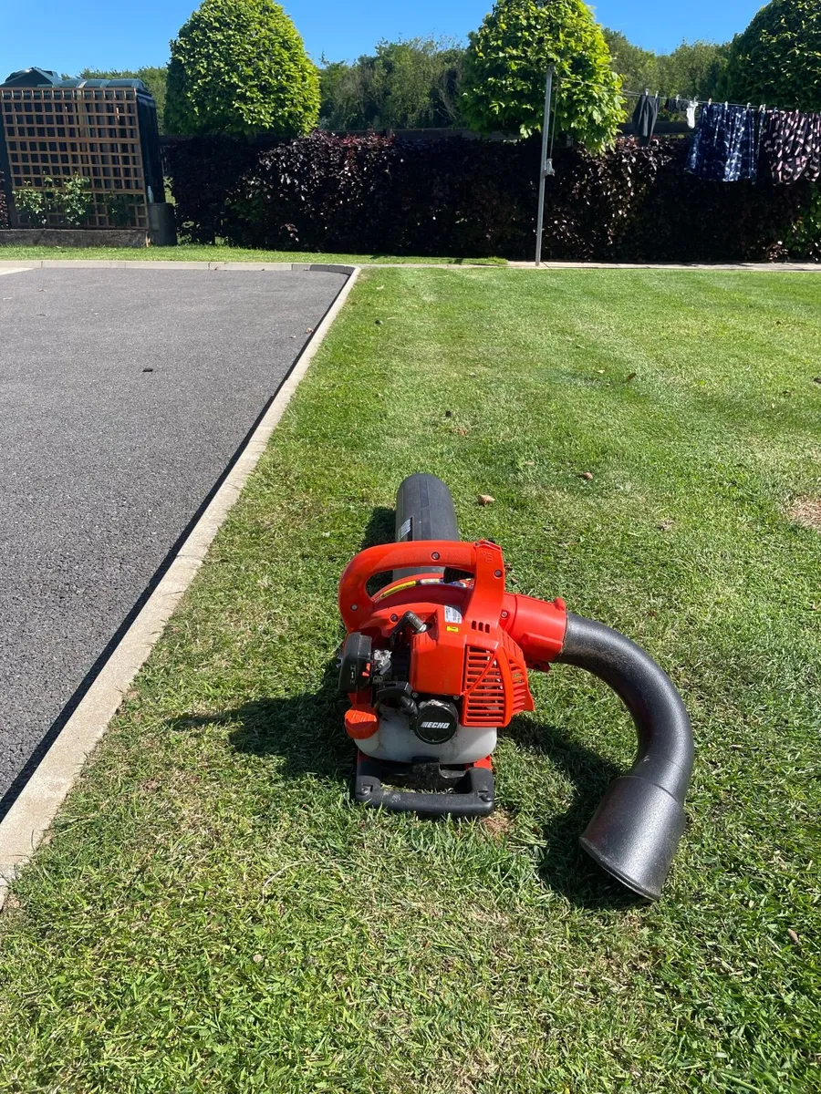 Echo leaf blower - Image 1