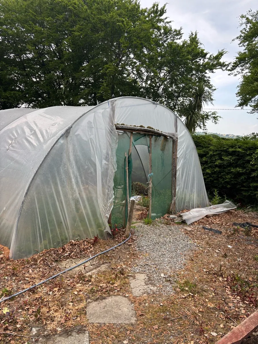 Polytunnel - Image 1