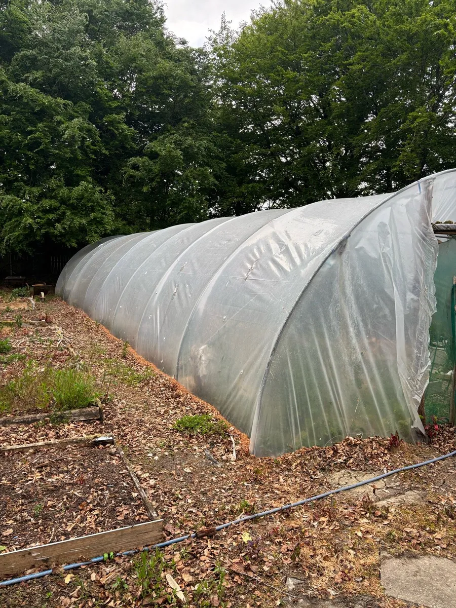 Polytunnel - Image 2