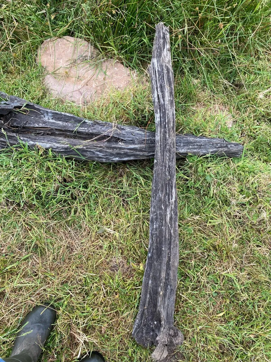 Bog oak - Image 2