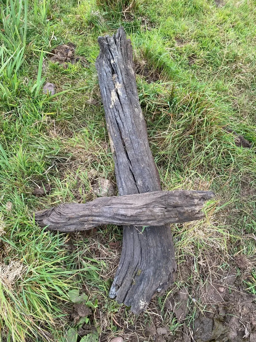Bog oak - Image 4
