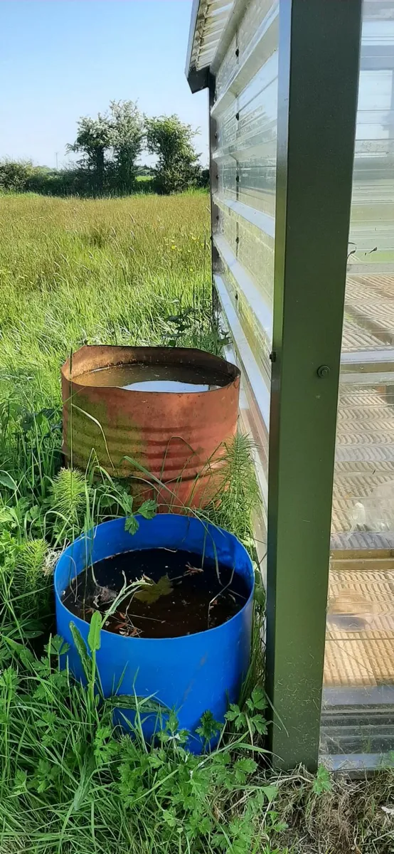 Greenhouse - Image 3