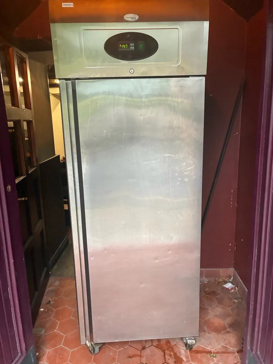 Interlevin Freezer - Image 1