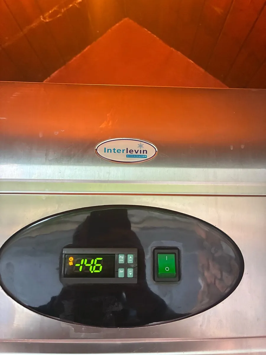 Interlevin Freezer - Image 3