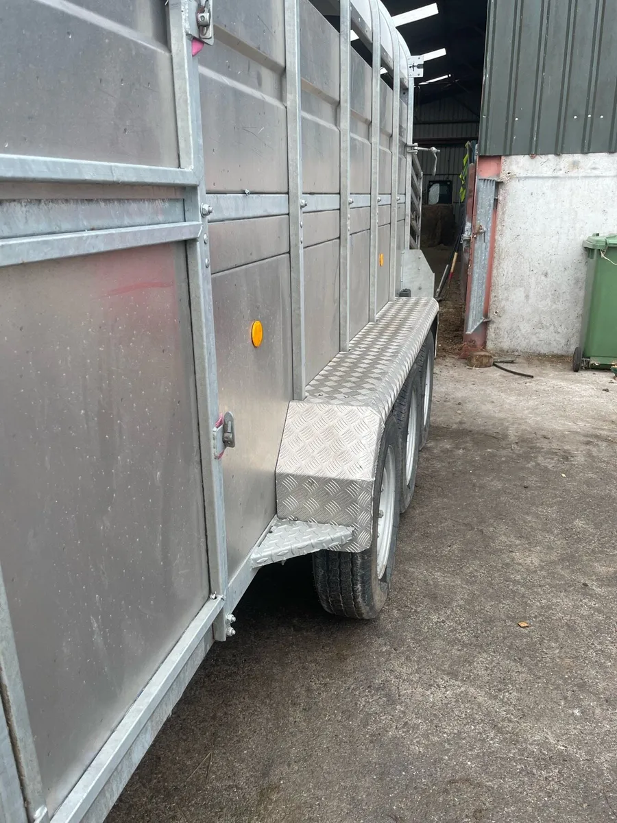 Cattle trailer - Image 2