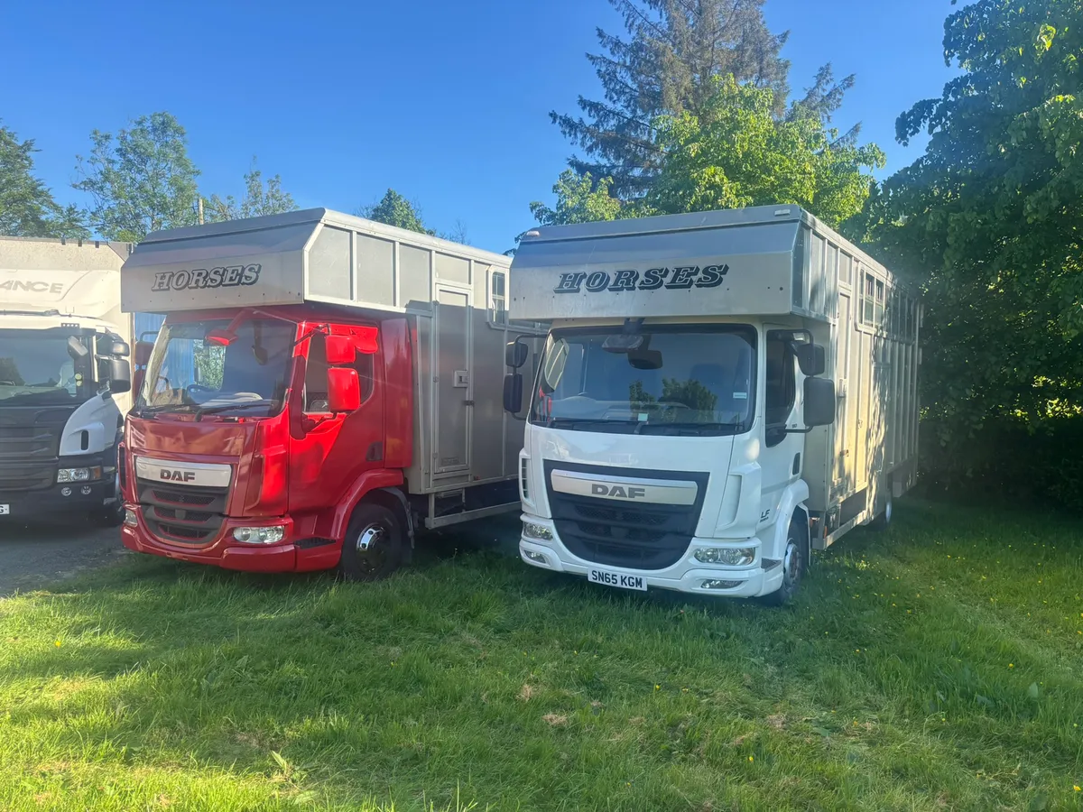 Tri star horse box - Image 1