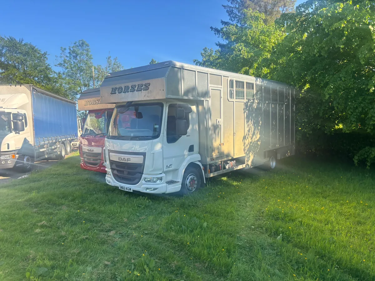 Tri star horse box - Image 2