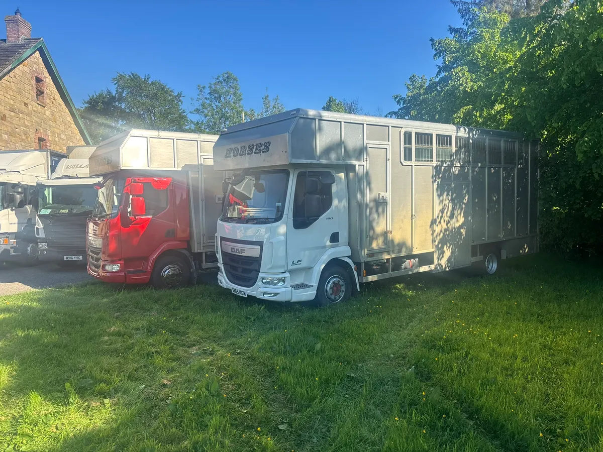 Tri star horse box - Image 3