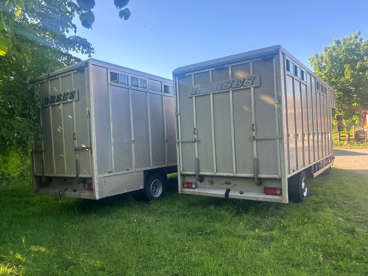 Tri star horse box - Image 4