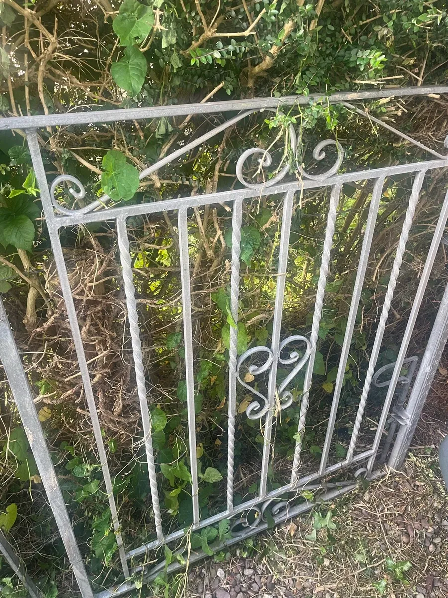 Driveway/entrance swing gate - Image 1