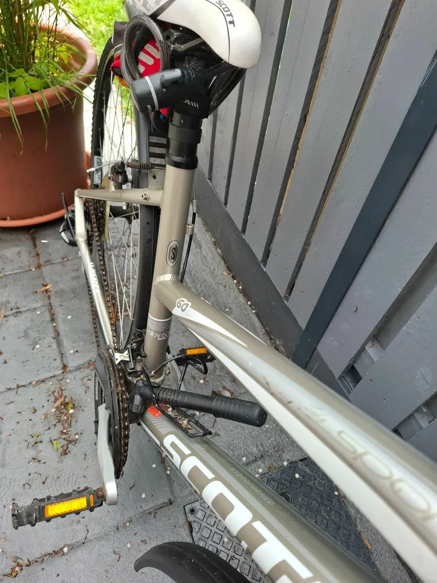 Hybrid mountain bicycle - Ladies - Image 2