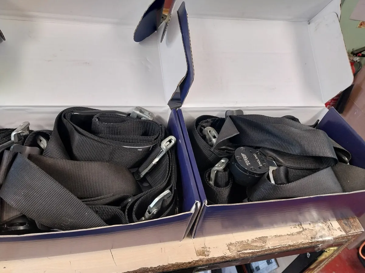 Rally Car Seat belts