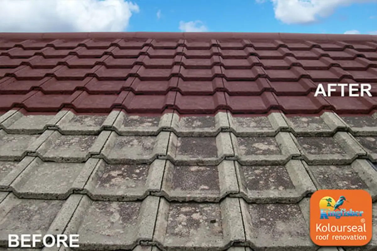Roof paints - Image 1