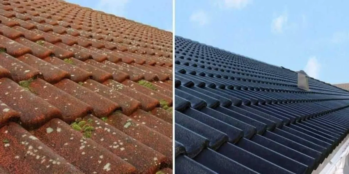 Roof paints - Image 2