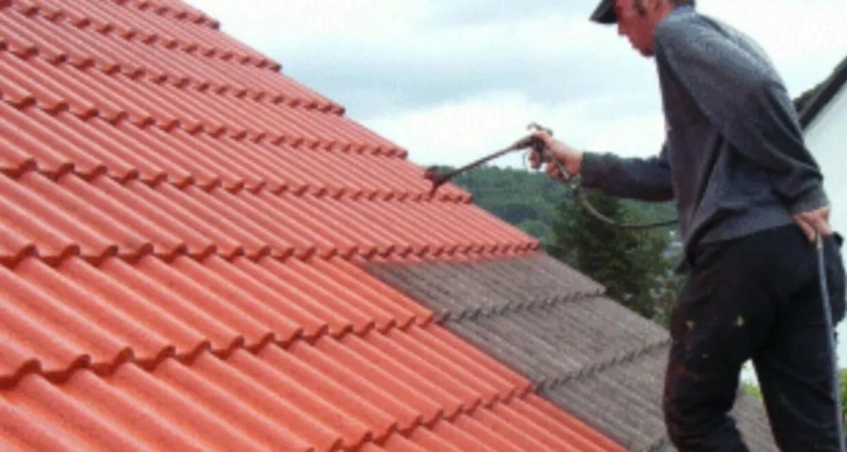 Roof paints - Image 3