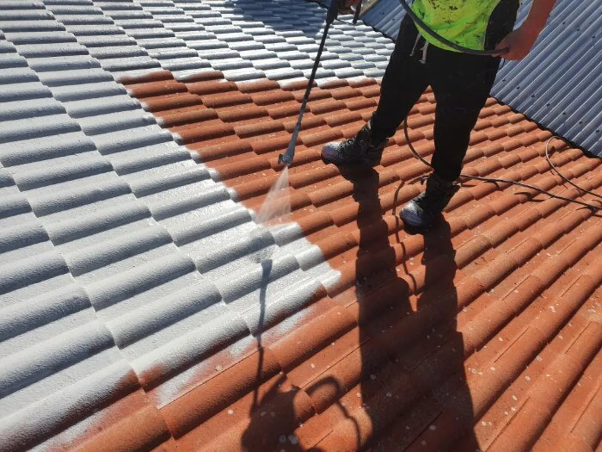 Roof paints - Image 4