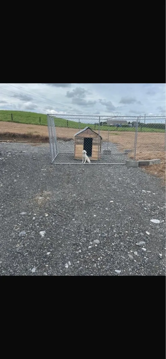 Dog Pen - Image 1